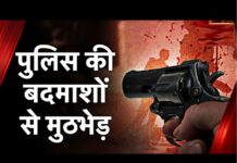 Punjab : पुलिस और अपराधियों के बीच झड़प: एक घायल, एक गिरफ्तार