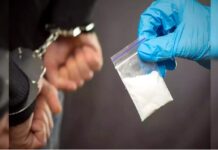 पार्सल के जरिए महिला कर रही थी इन चीजों की सप्लाई, पुलिस के उड़े होश