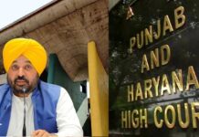 पंजाब में पंचायती चुनावों के लिए बड़ा फैसला: हाईकोर्ट ने सभी याचिकाएं रद्द की!