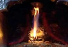 Navratri Celebrations: शारदीय नवरात्रों का शुभारंभ 3 अक्टूबर से, ज्वाला जी एवं चिंतपूर्णी में खास प्रबंध, मंदिर प्रबंधन ने लिया अहम फैसला