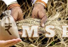 किसानों की खुशियों का नया अध्याय: MSP का त्वरित भुगतान, पंजाब में धान खरीद में क्रांति!