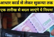 त्योहारों से पहला झटका! इतने रुपये महंगा हो गया LPG Cylinder, आज से हुए ये बड़े बदलाव, हर जेब पर होगा असर!