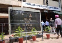 हाईकोर्ट ने पंजाब तथा केंद्र सरकार को जारी किए ये आदेश, धान की खरीद व लिफ्टिंग के लिए इस दिन मीटिंग