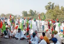 Chakka Jam: पंजाब में किसानों का दूसरे दिन भी विरोध जारी, धान खरीद और पराली के मुद्दों पर उठाई आवाज