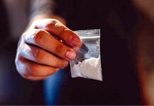 ड्रग सप्लाई के मामले में क्राइम ब्रांच की हिमाचल प्रदेश में रेड: चरस समेत सप्लायर काबू