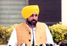 कनाडा में हिंदू मंदिर पर हमले के मामले में पंजाब के CM भगवंत मान की प्रतिक्रिया, कही यह बात