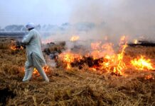 पंजाब में नहीं थम रहा पराली जलाना, पुलिस और प्रशासनिक अधिकारियों को कारण बताओ नोटिस