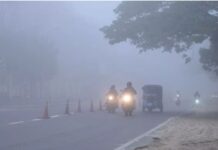 हिमाचल के ऊना व इन जिलों में शीतलहर का येलो अलर्ट, अगले 5 दिन तक बारिश-बर्फबारी की संभावना नहीं