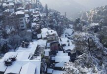 हिमाचल की बर्फबारी: एक सफेद सपना और पर्यटकों की मुश्किलें