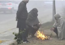 कोहरे का कहर: पंजाब में घने कोहरे के कारण उड़ानें और ट्रेनें बाधित, कई जिलों में आंधी-तूफान की भविष्यवाणी