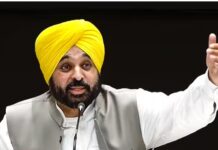 PPCB ने इंडस्ट्री के लिए शुरू की चैटबॉट सर्विस: 39 तरह के सवालों के डॉक्यूमेंट एक क्लिक पर, चैटबॉट 24/7 उपलब्ध