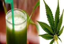 भांग पीकर 2 घंटे खेतों में दौड़ता रहा युवक !