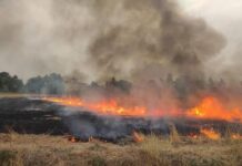 150 एकड़ गेहूं की फसल में लगी भयंकर आग, ट्रैक्टर-ट्रॉली और मोटरसाइकिल जलकर राख