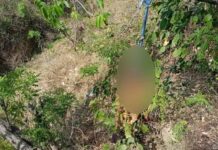 ऊना में नाबालिग युवती का शव पेड़ से लटका मिला, जांच में जुटी पुलिस।