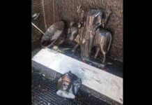 प्राचीन मंदिर में हमला, शनिदेव की मूर्ति खंडित — समाज में उबाल, दोषियों के खिलाफ सख्त कार्रवाई की मांग