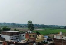 पंजाब में नया आदेश: क्या होगा अगर आप ने ये काम नहीं किया