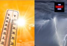 पंजाब के 13 जिलों में येलो अलर्ट, 15 मई तक बारिश और आंधी की चेतावनी