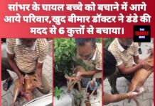 नंगल में वाइल्डलाइफ सेंचुरी के पास सांभर के बच्चे पर कुत्तों का हमला, डॉक्टर रमेश कटियाल ने बचाई जान बीमार होने के बावजूद दिखाई अद्भुत हिम्मत, स्थानीय लोग कर रहे सराहना