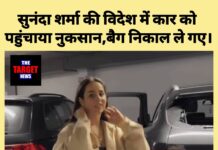 लंदन में पंजाबी गायिका सुनंदा शर्मा की कार तोड़ी गई, कीमती बैग चोरी; सोशल मीडिया पर साझा किया दर्द