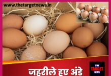 क्या आप जो अंडे खा रहे हैं, वो खतरनाक हैं? सामने आई चौंकाने वाली सच्चाई।