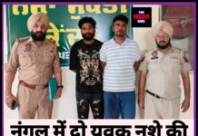 इंदिरा नगर नंगल में दो युवक नशे की हालत में पकड़े गए, डोप टेस्ट रिपोर्ट पॉजिटिव — NDPS एक्ट के तहत मुकदमा हुआ दर्ज