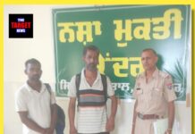नंगल में NDPS एक्ट के तहत दो युवक गिरफ्तार, मेडिकल जांच में कई नशीले पदार्थ पाए गए पॉजिटिव।