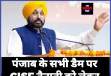 पंजाब के सभी डैम पर CISF तैनाती को लेकर सीएम मान का बड़ा फैसला।