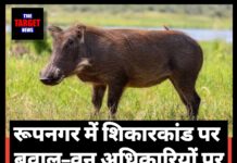 रूपनगर में शिकारकांड पर बवाल – वन अधिकारियों पर ‘ढिलाई’ के आरोप, DFO ने बिठाई जांच