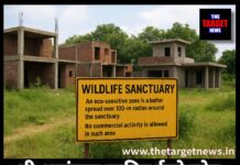 श्री आनंदपुर साहिब ईको ज़ोन में अवैध निर्माण, वन्यजीव अभयारण्य Wildlife पर खतरा