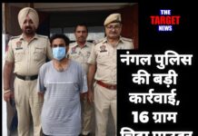 नंगल पुलिस की बड़ी कार्रवाई, 16 ग्राम चिट्टा पाउडर बरामद,युवक काबू