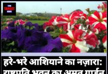 हरे-भरे आशियाने का नज़ारा: राष्ट्रपति भवन का अमृत गार्डन फिर खुला जनता के लिए।