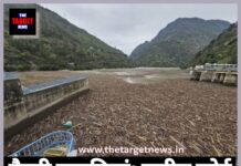 तैरती लकड़ियां: सुप्रीम कोर्ट ने अवैध पेड़ कटाई पर जाने किसे जारी किया नोटिस ।