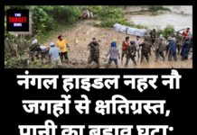 नंगल हाइडल नहर नौ जगहों से क्षतिग्रस्त, पानी का बहाव घटा; हरियाणा-राजस्थान की आपूर्ति प्रभावित