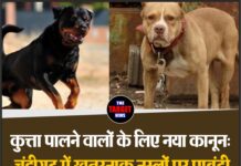 कुत्ता पालने वालों के लिए नया कानून: चंडीगढ़ में खतरनाक नस्लों पर पाबंदी, नियम तोड़ने पर होगी सख्त कार्रवाई
