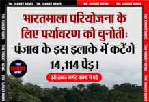 भारतमाला परियोजना के लिए पर्यावरण को चुनोती: पंजाब के इस इलाके में कटेंगे 14,114 पेड़।