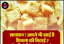 सावधान ! आपने भी खाई है शिमला की मिठाई ? लैब रिपोर्ट में 12 में से 6 के सेंपल फेल !