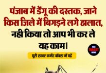पंजाब में डेंगू की दस्तक,जाने किस जिले में बिगड़ने लगे हालात,नही किया तो आप भी कर ले यह काम।