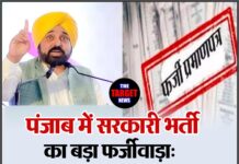 पंजाब में सरकारी भर्ती का बड़ा फर्जीवाड़ा: PSEB सर्टिफिकेट जांच में खुला नकली नौकरी का राज