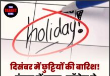 दिसंबर में छुट्टियों की बारिश! पंजाब में स्कूल-कॉलेज से दफ़्तर तक लगेगा ताला