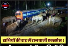 हाथियों की राह में राजधानी एक्सप्रेस ! दर्दनाक हादसे में 8 हाथियों की मौत,रेलगाड़ी पटरी से उतरी।