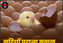 सदियों पुराना सवाल… आखिर पहले कौन आया?