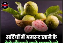 सर्दियों में अमरूद खाने के ऐसे चौंकाने वाले फायदे जो बदल देंगे आपकी सेहत!