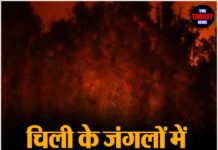 चिली के जंगलों में भीषण आग का तांडव; 18 लोगों की मौत, हजारों परिवार बेघर