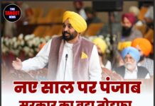 नए साल पर पंजाब सरकार का बड़ा तोहफ़ा, इस विभाग में होंगी नई भर्तियाँ