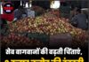 सेब बागवानों की बढ़ती चिंताएं, 6 हजार करोड़ की इंडस्ट्री पर मंडराया खतरा!
