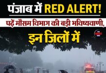 पंजाब में RED ALERT! पढ़ें मौसम विभाग की बड़ी भविष्यवाणी, इन जिलों में…