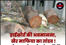 🔥 हाईकोर्ट की अवमानना, खैर माफिया का तांडव ! खुलेआम रोपड़ के जंगलों में 2000 पेड़ काटे गए,सिस्टम बेबस 🔥