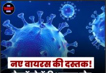 नए वायरस की दस्तक! सैकड़ों कौवों की अचानक मौत, प्रशासन ने जारी किया हाई अलर्ट !