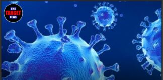 नए वायरस की दस्तक! सैकड़ों कौवों की अचानक मौत, प्रशासन ने जारी किया हाई अलर्ट !