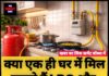 क्या एक ही घर में मिल सकते हैं LPG और PNG कनेक्शन ?